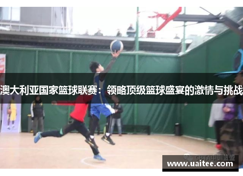 澳大利亚国家篮球联赛：领略顶级篮球盛宴的激情与挑战