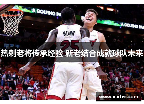 热刺老将传承经验 新老结合成就球队未来